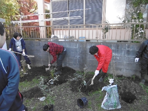 植樹の様子