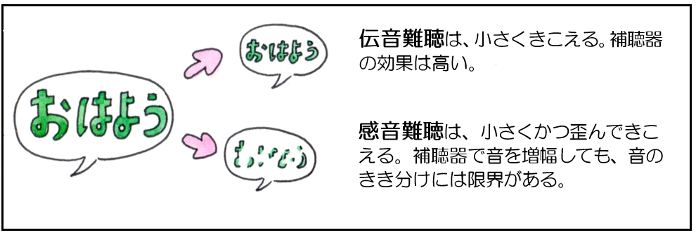 画：中井敦子